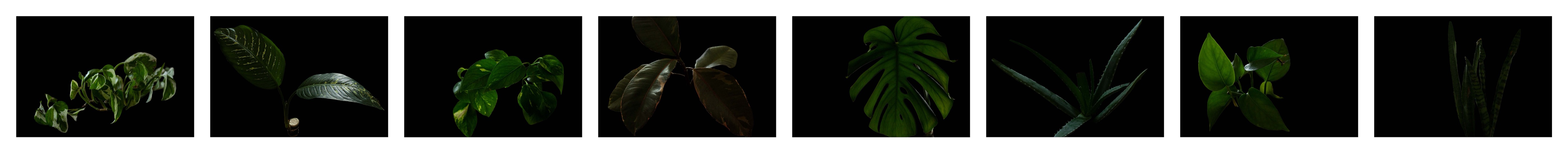 Selected student final photographic series strip 03.