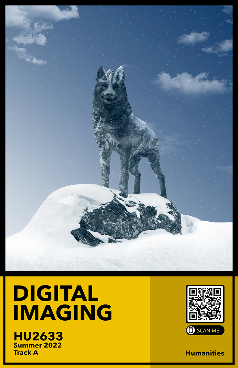 Michigan Tech Digital Imaging HU2633 recruitment poster.