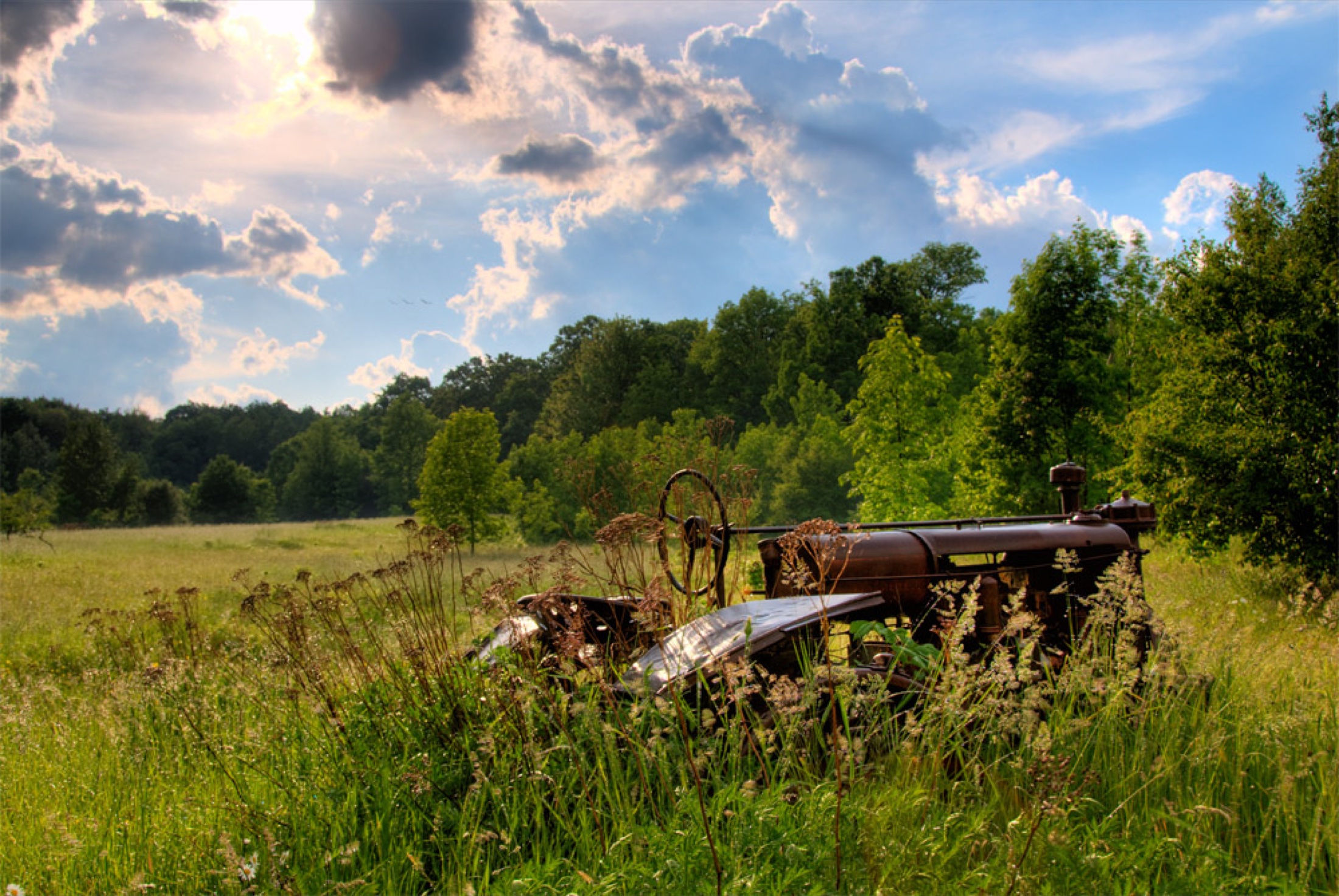 Old tractor surrounded by tall grass and trees beneath bright clouds.