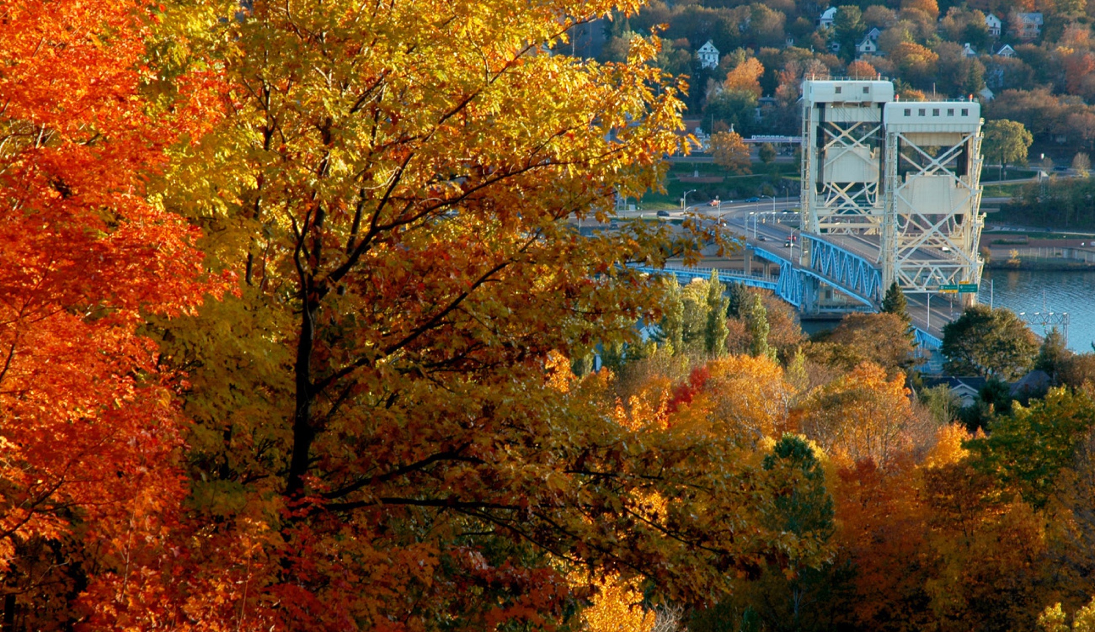 Fall trees framing a blue lift bridge and river below.
