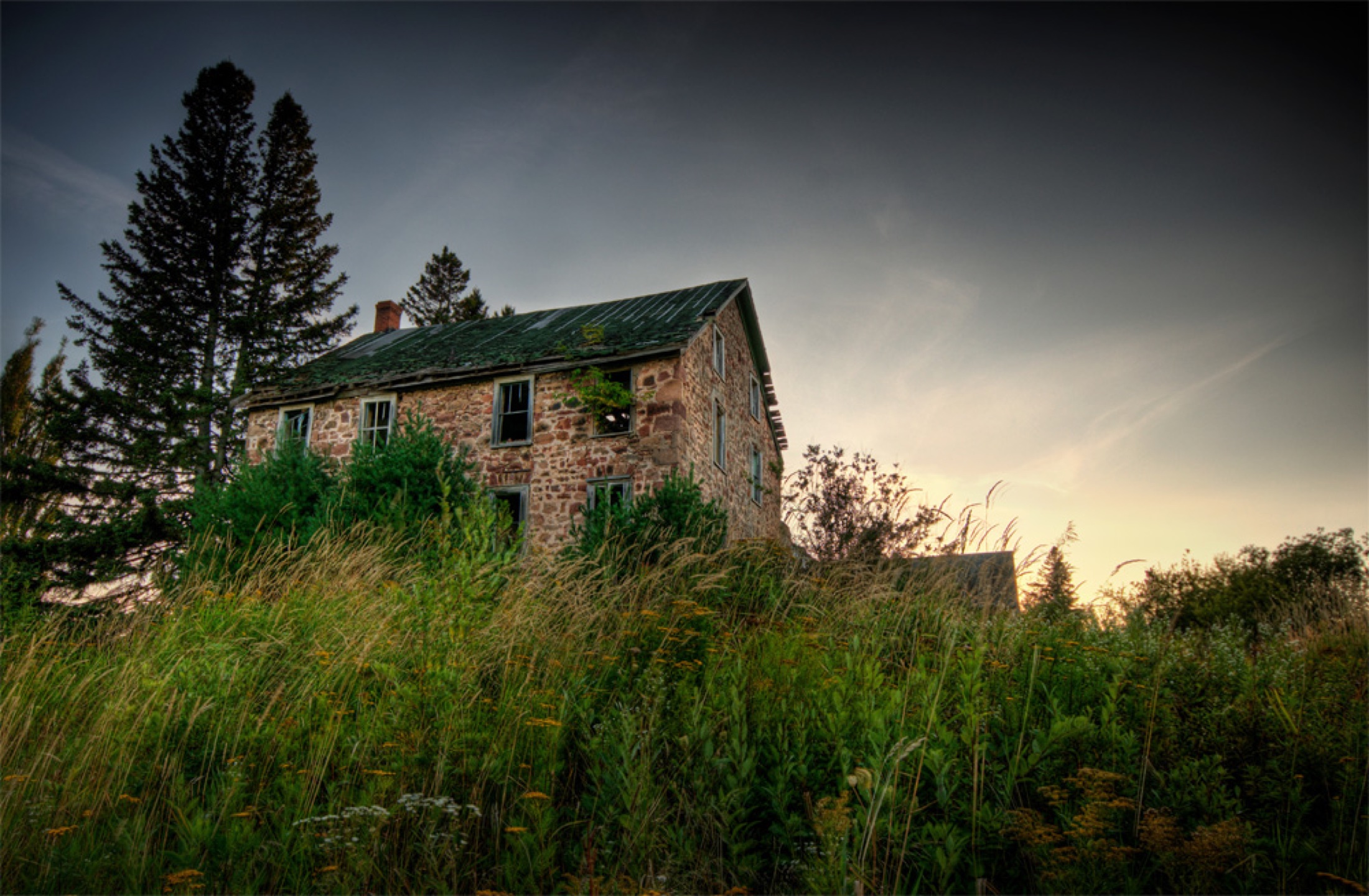 Abandoned stone house surrounded by tall grass, trees, and evening light.